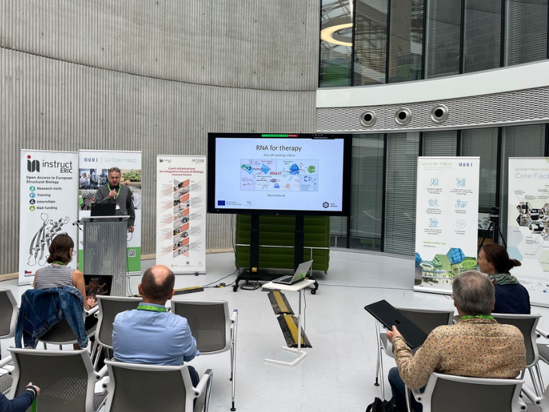 RNA pro terapii: Nové možnosti léčby díky RNA technologiím